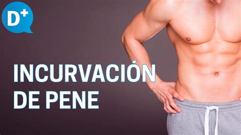 penes con pelo|Galería de Imágenes de la Curvatura del Pene: Imágenes y。